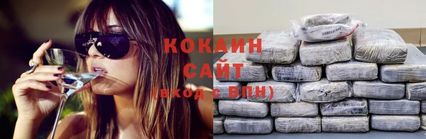 мдпв Сафоново