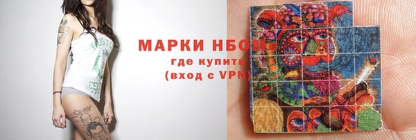 шишки Абаза