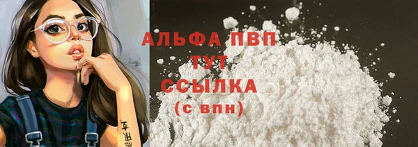 шишки Абаза
