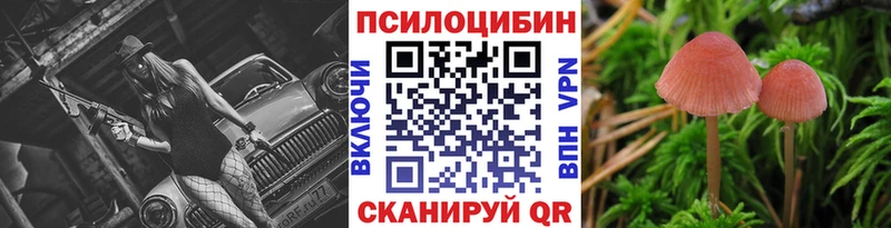 Галлюциногенные грибы Magic Shrooms  где найти   Зубцов 